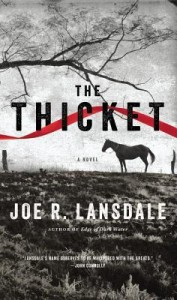 the thicket