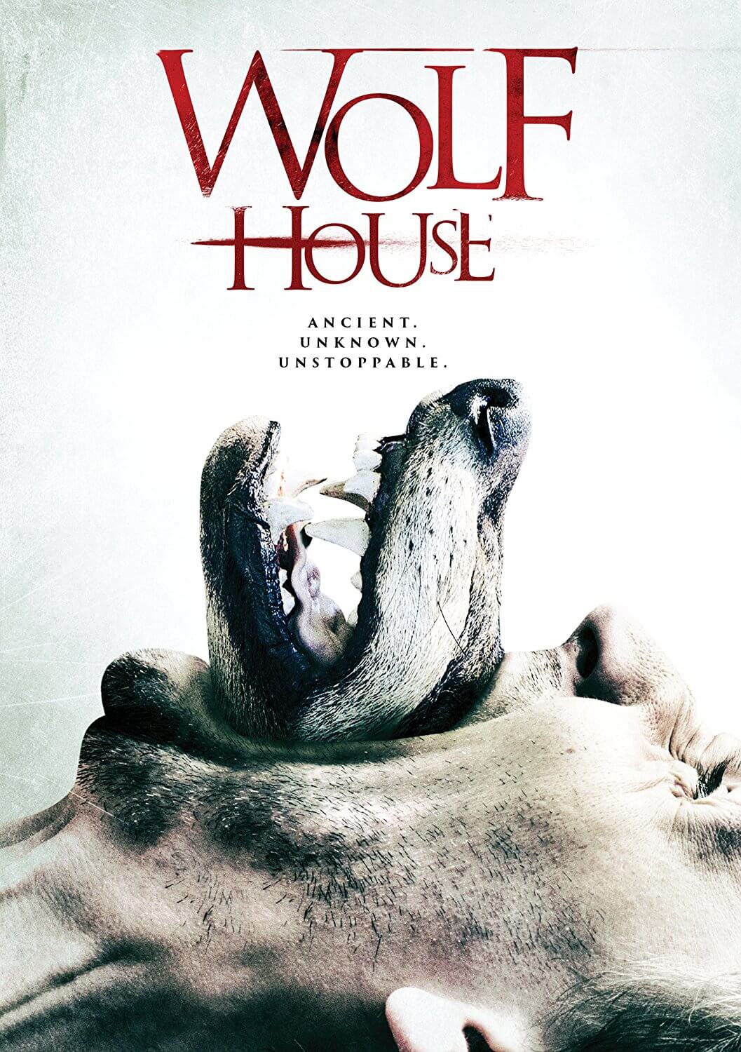 the-wolf-house