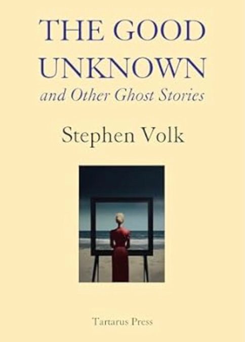 Book Review: THE GOOD UNKNOWN