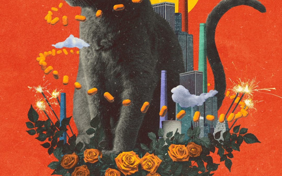 Book Review: THE SOLSTICE